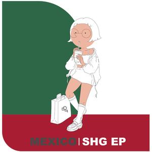 [디이커로스터리] 멕시코 SHG EP 치아파스 500g